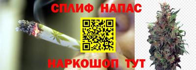 шишки Краснодар