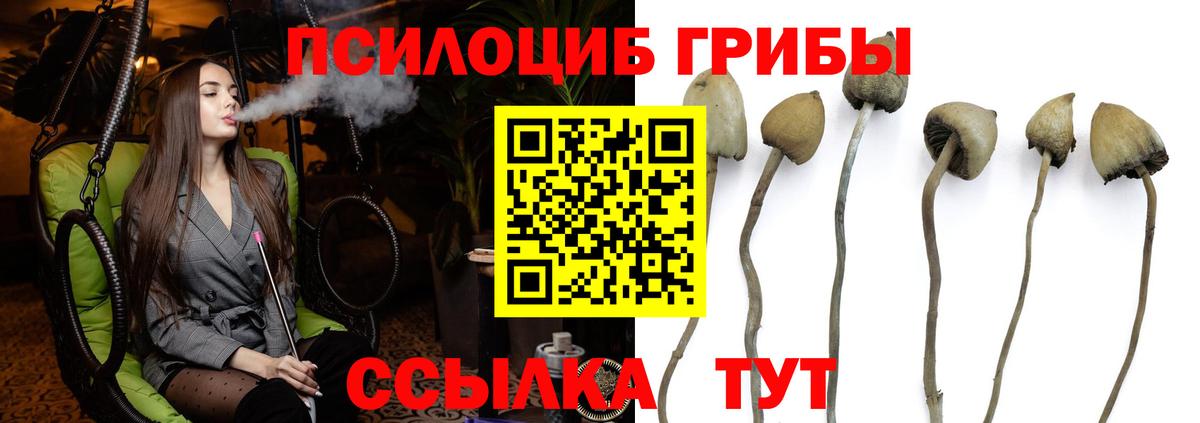 Галлюциногенные грибы мицелий Донецк
